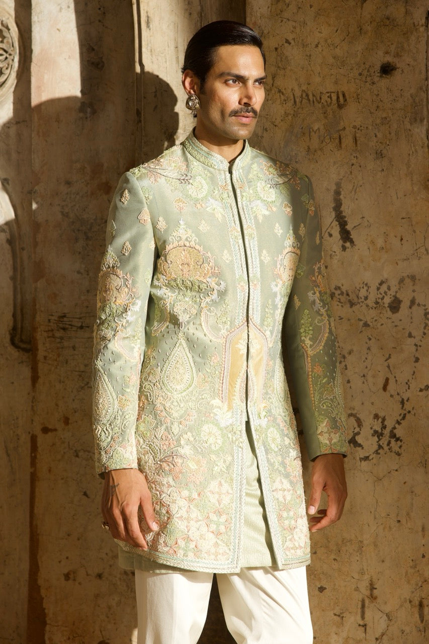 Pastel Green Tissue Embroidered Indo-Western Set