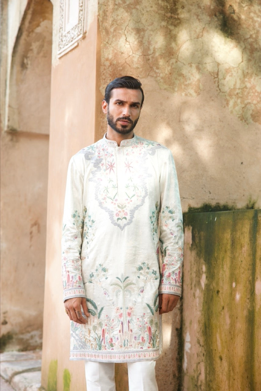 Silver Tissue Embroidered Kurta Set