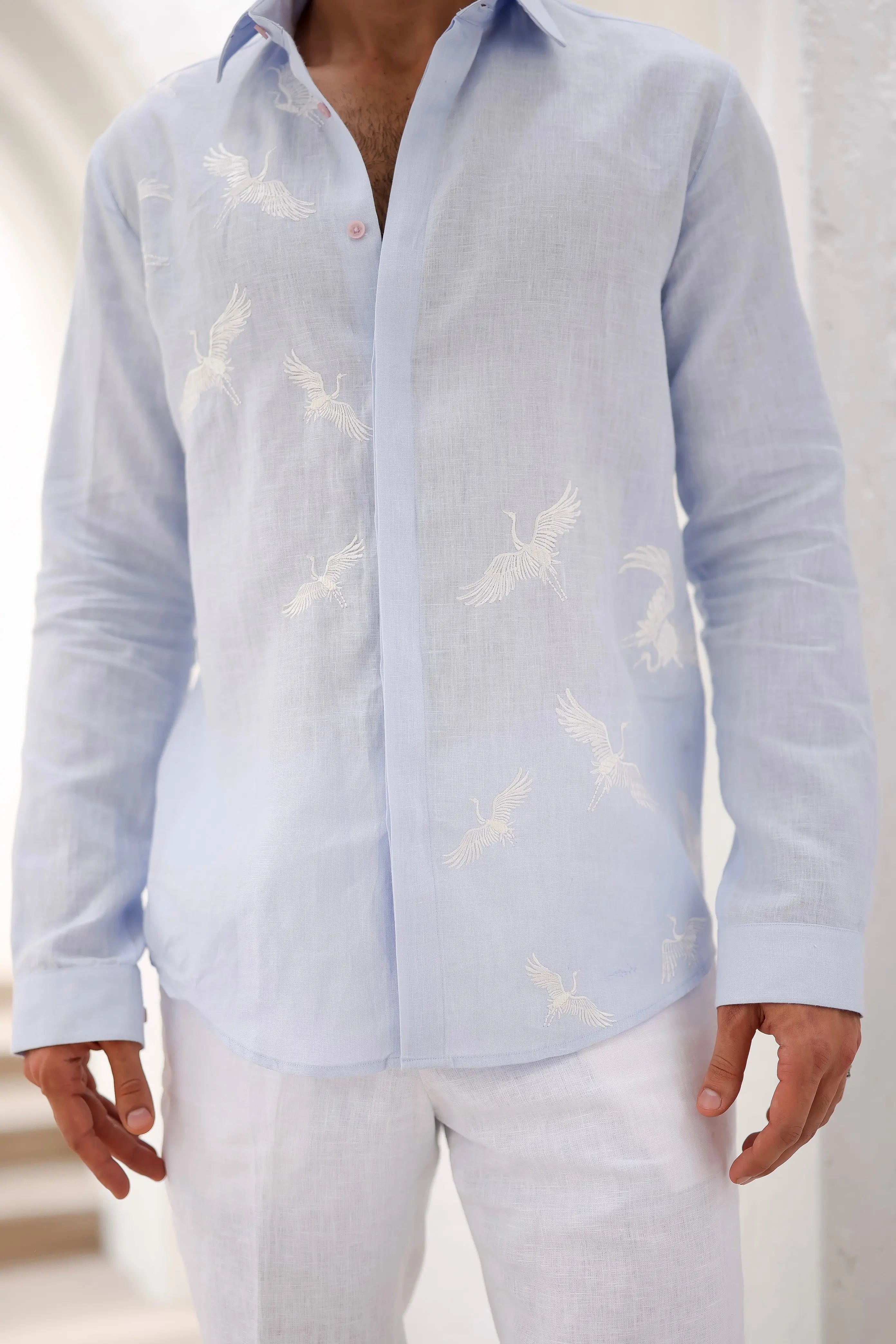 Summer Sky Bird Motif Embroidered Shirt
