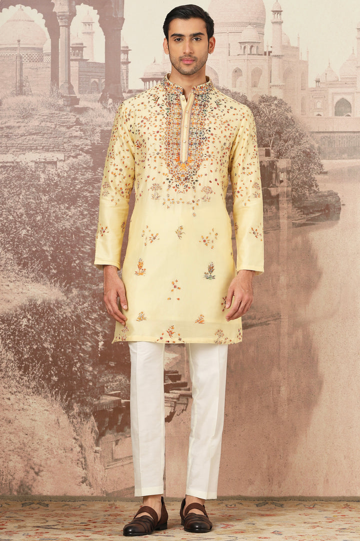 Sunlit Meadow Embroidered Kurta Set