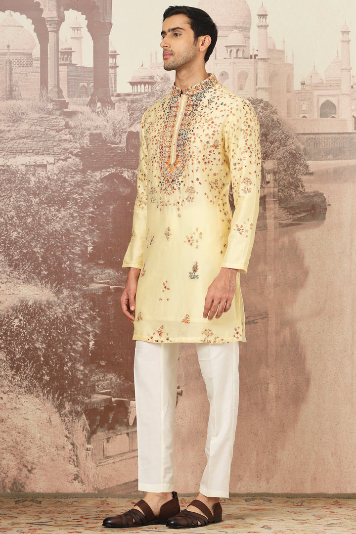 Sunlit Meadow Embroidered Kurta Set