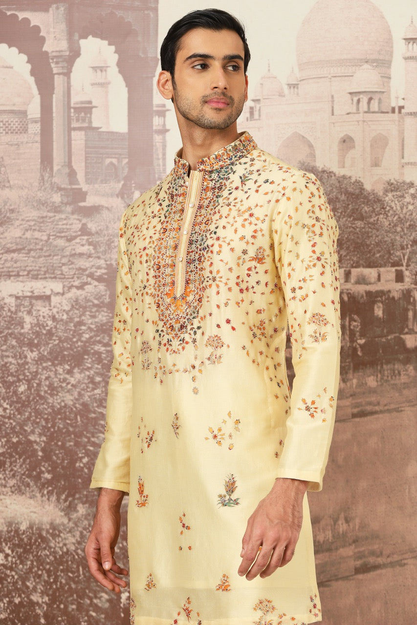 Sunlit Meadow Embroidered Kurta Set