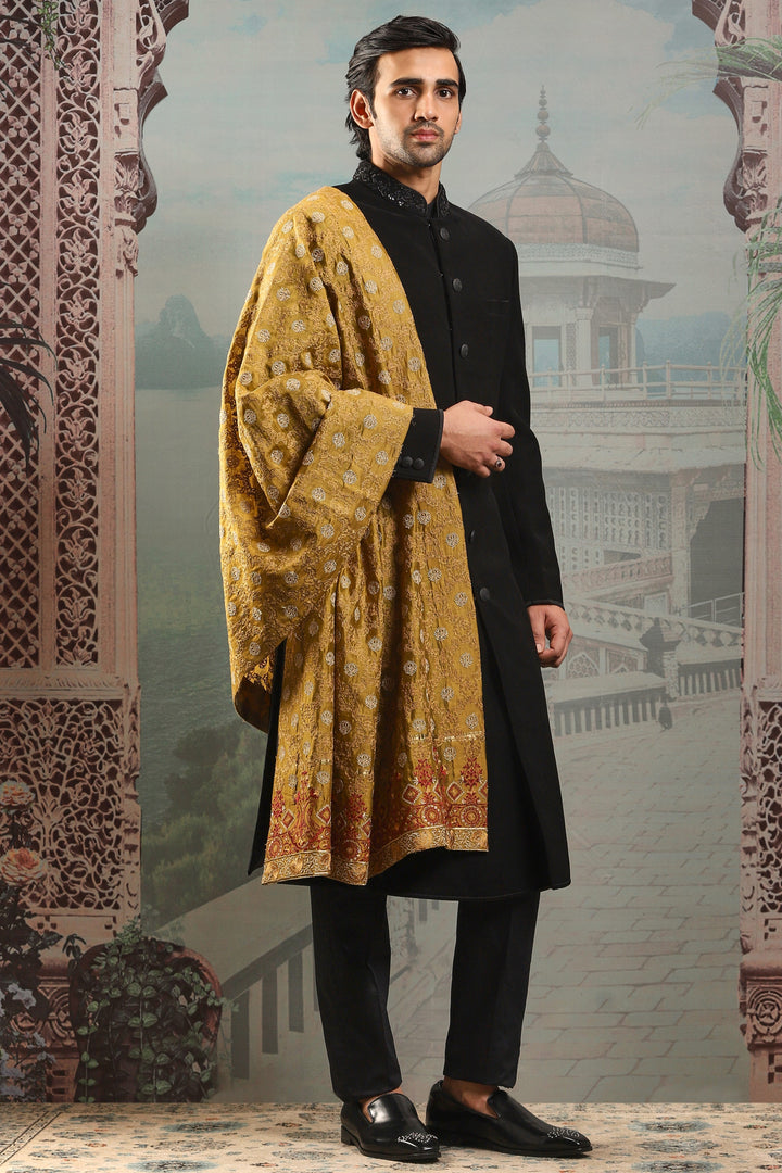 Meher Paisley Silk Embroidered Stole