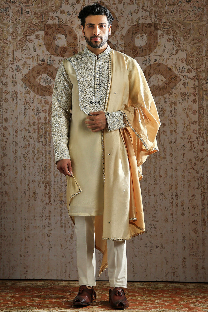 Honey Gold Embroidered Royal Kurta Set